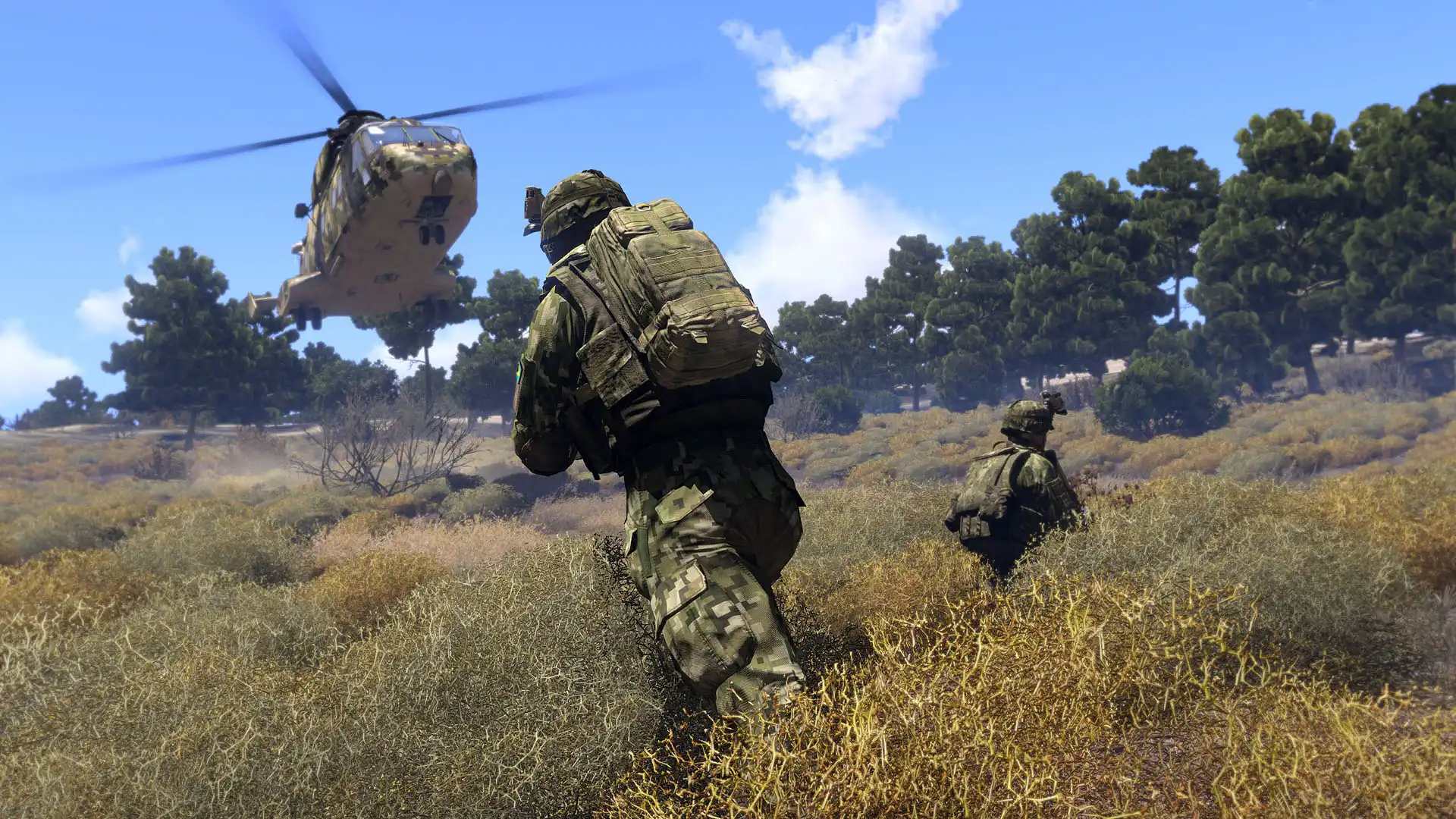 Скриншот Arma 3 8